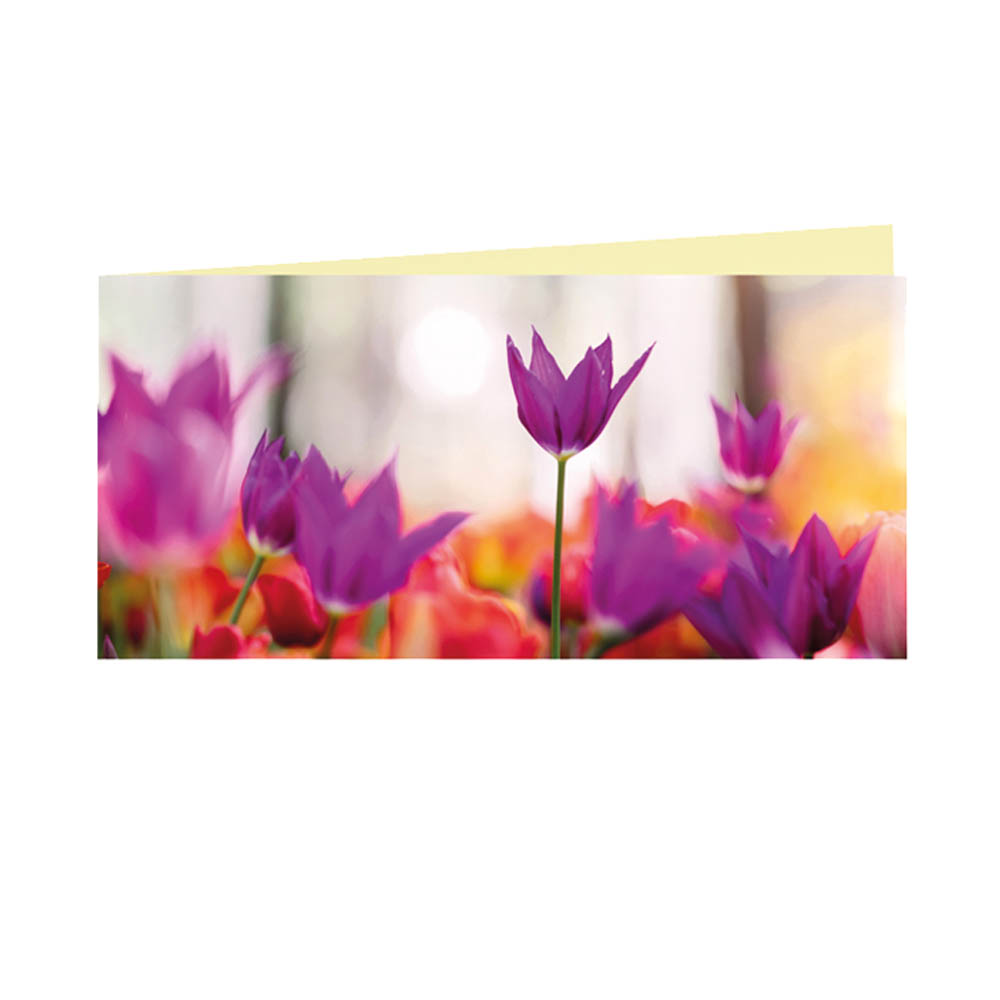 Tulpen Klappkarte mit Umschlag