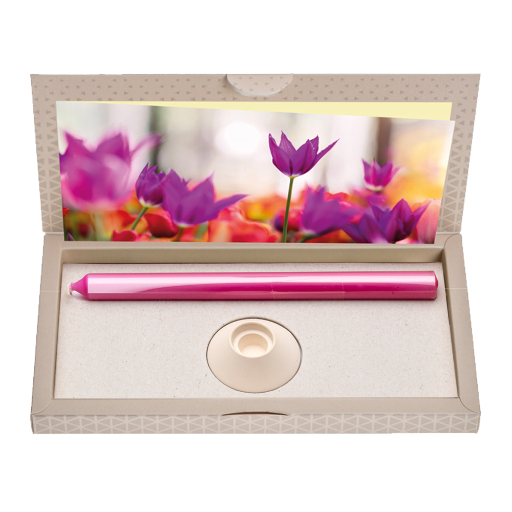 Tulpen - Brieflicht,