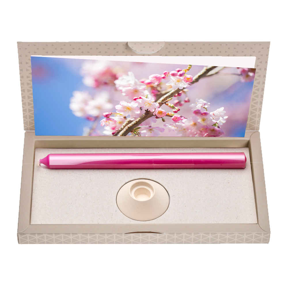 Kirschblüten - Brieflicht