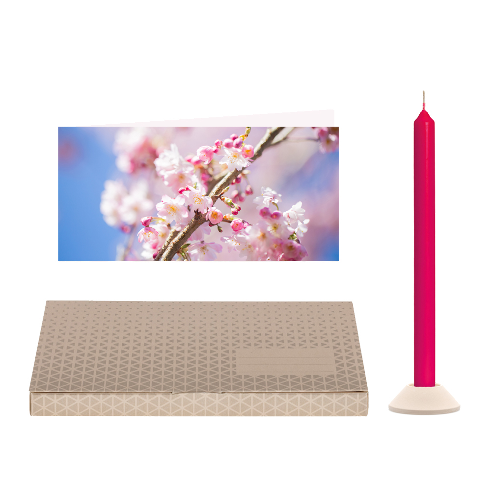 Kirschblüten - Brieflicht