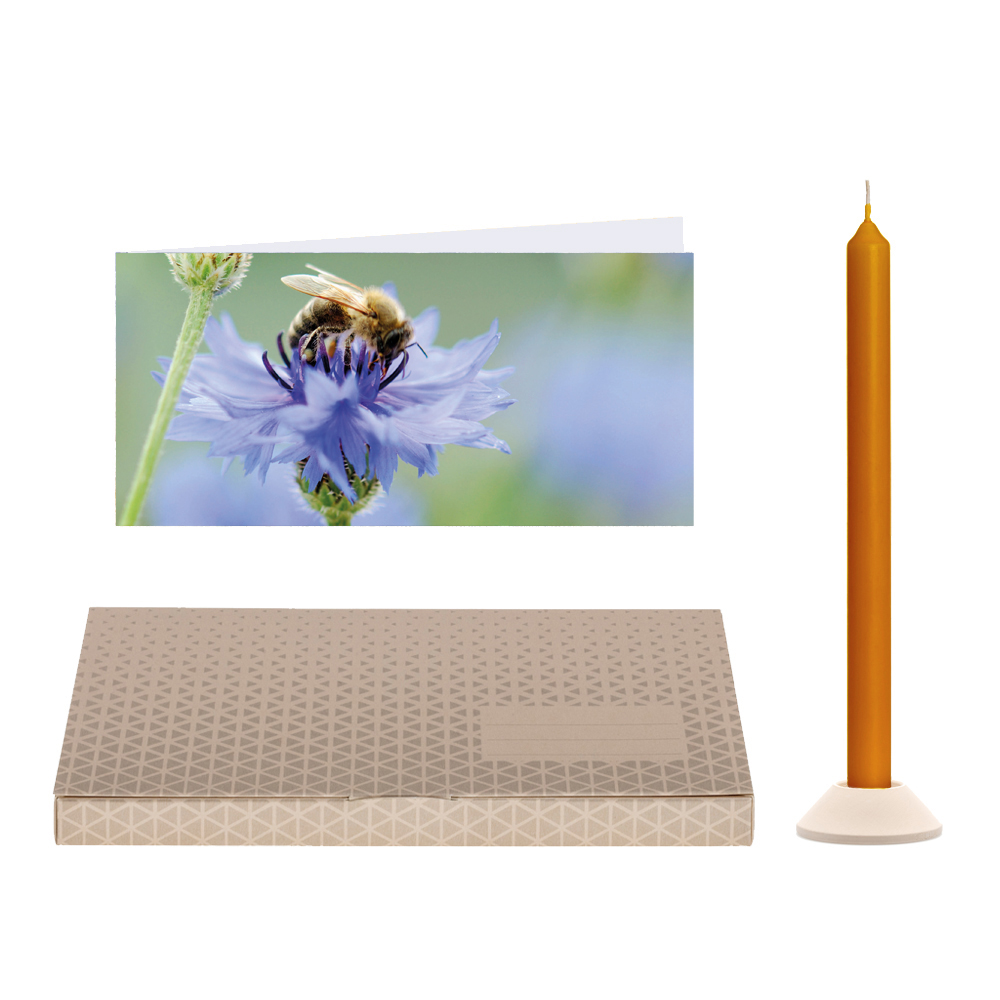 Honigbiene - Brieflicht